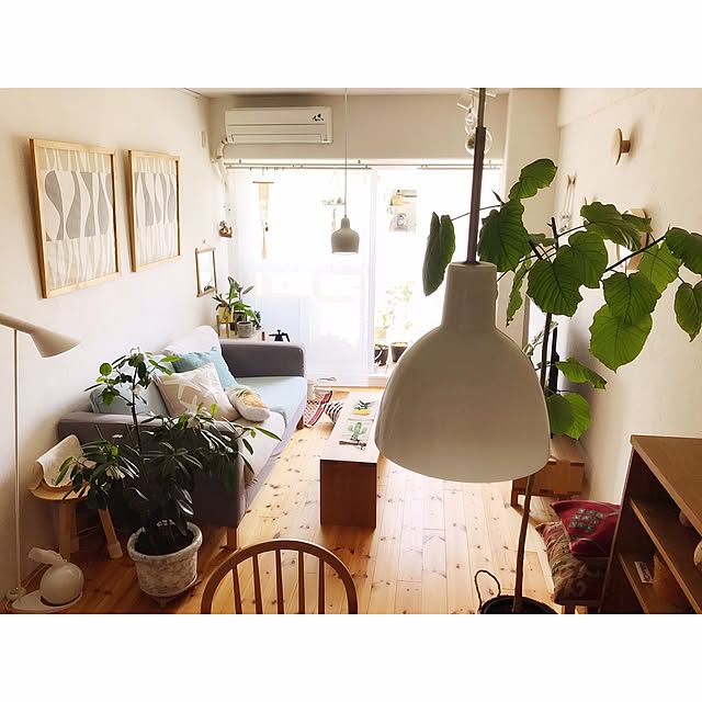 Hisayoさんの実例写真