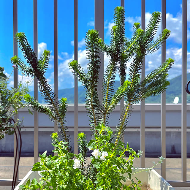 KLさんの部屋