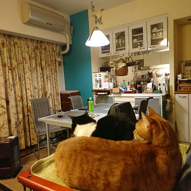 okyosan101さんの実例写真