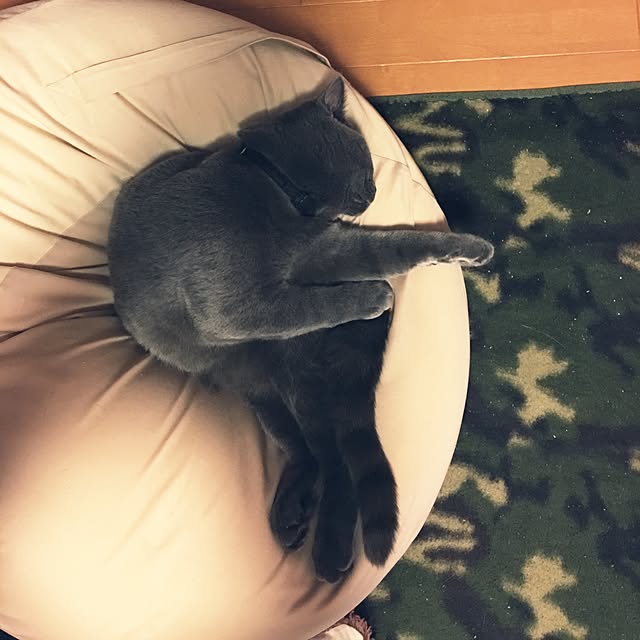 Shojiさんの実例写真