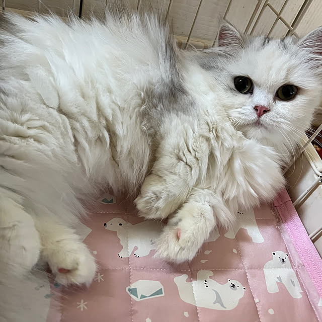 AYUKOさんの実例写真