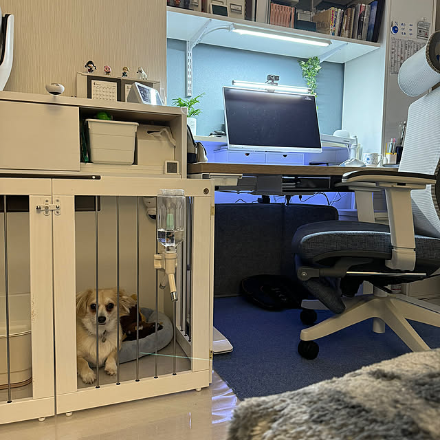 Rainyさんの部屋