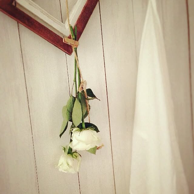 rookuさんの実例写真