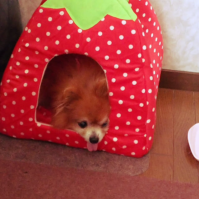 karenさんの実例写真