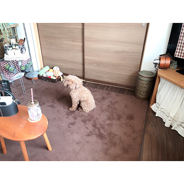 eriharuさんの実例写真