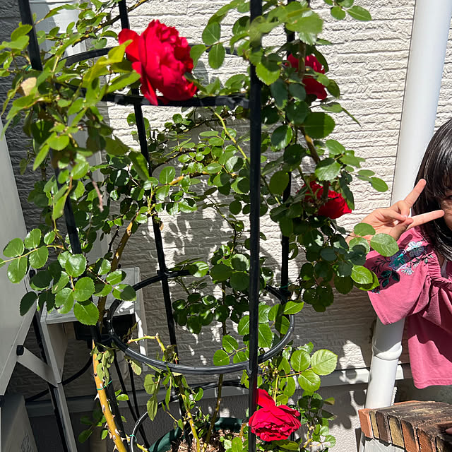 hinamamaさんの部屋