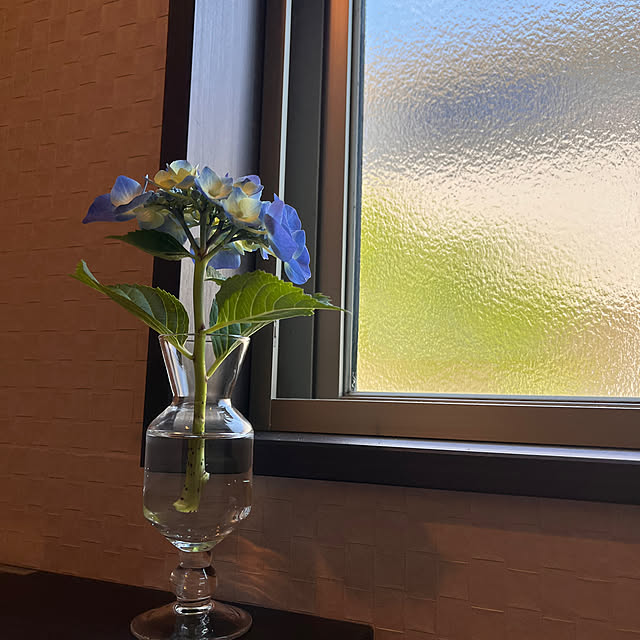 kojimasaさんの実例写真