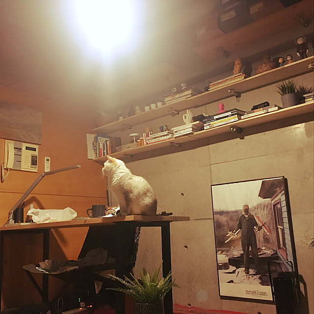 shimさんの実例写真
