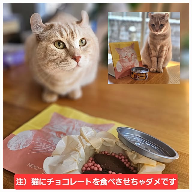 makoさんの部屋