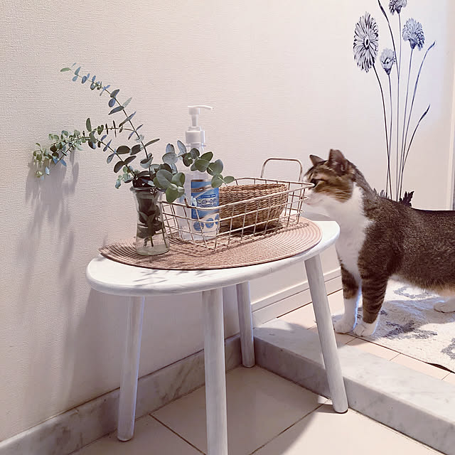 nekomiさんの実例写真