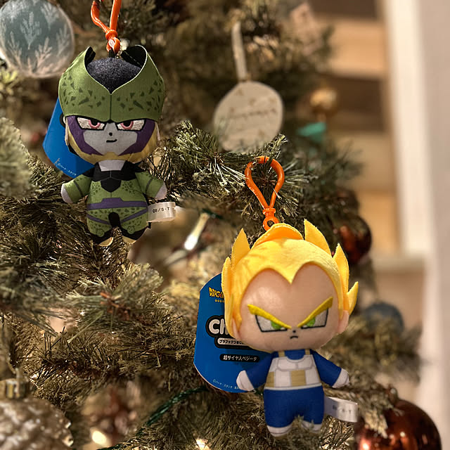 adamoさんの部屋