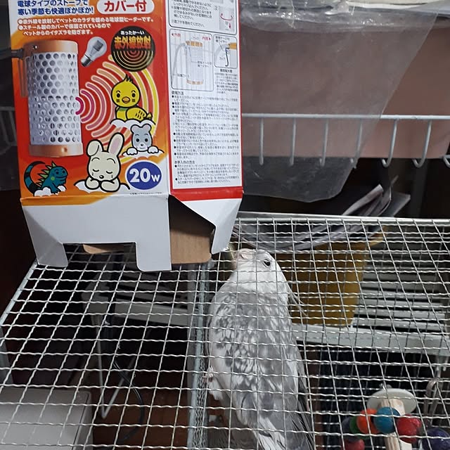 ANTENNAさんの実例写真