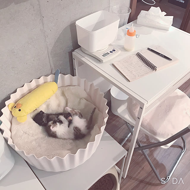 Hotateさんの実例写真