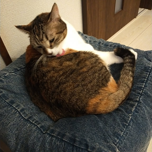 nnk.akさんの実例写真
