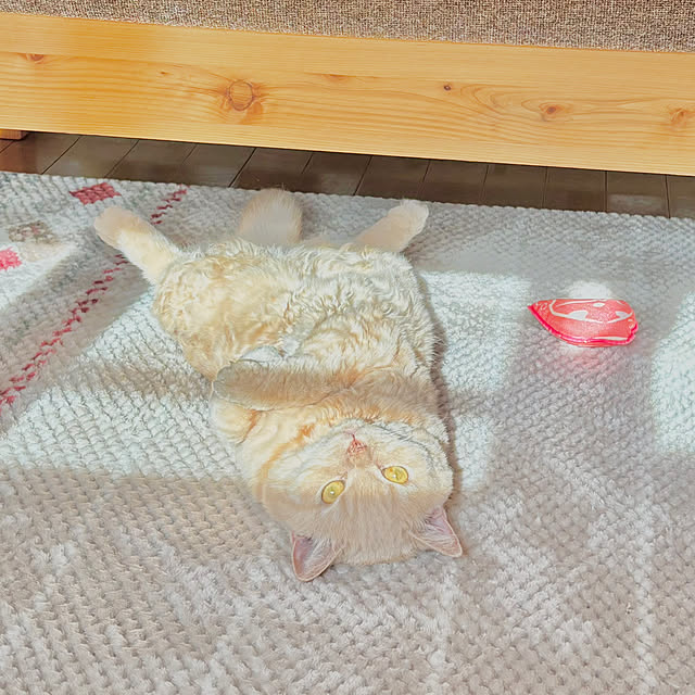 naokoさんの部屋