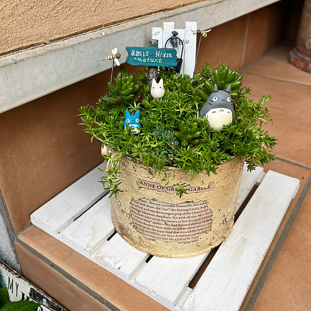玄関/入り口/トトロの森/セダム/植物のある暮らし/みどりのある暮らし...などのインテリア実例 - 2025-05-18 19:59:34