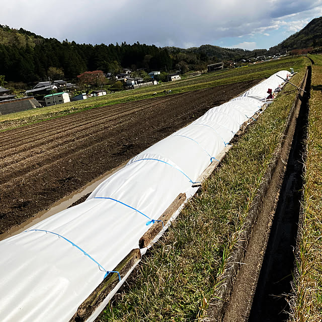 cota2さんの部屋