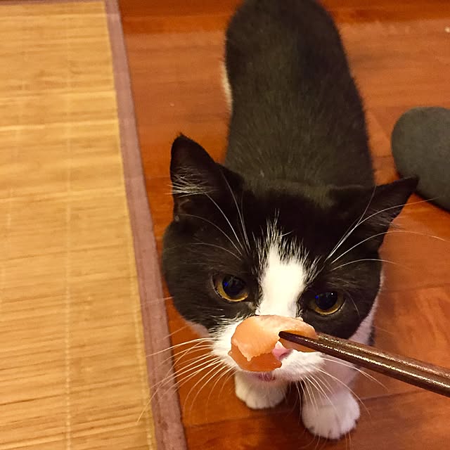butachanさんの実例写真