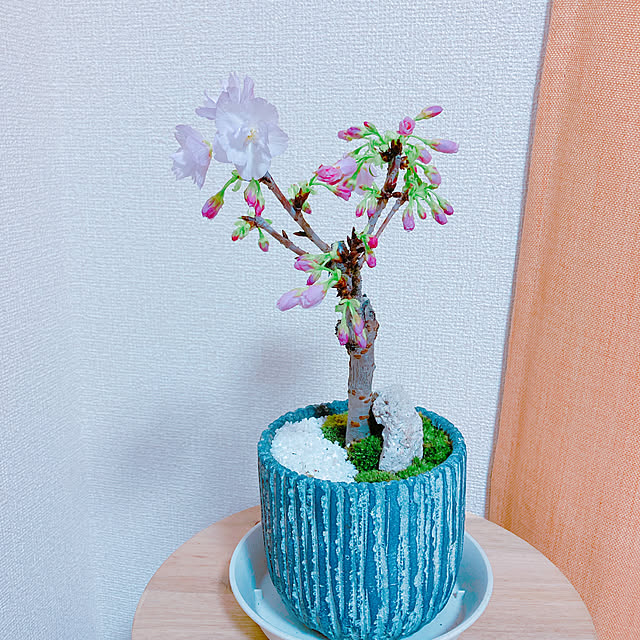 yuyuさんの実例写真