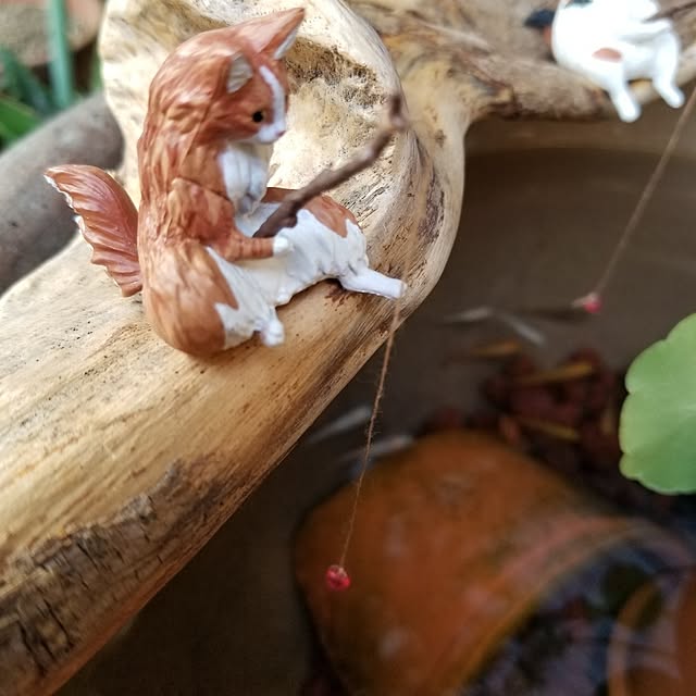 midoriさんの部屋