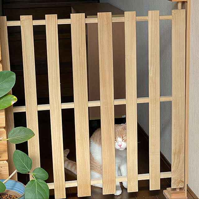mintteaさんの実例写真