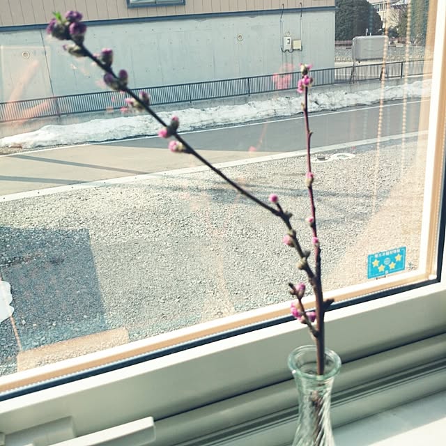 sym.さんの実例写真