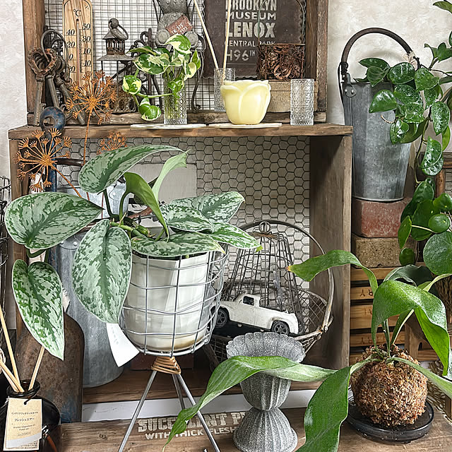 REI015mさんの部屋