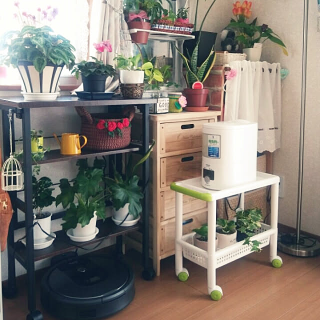 toshikoriさんの実例写真