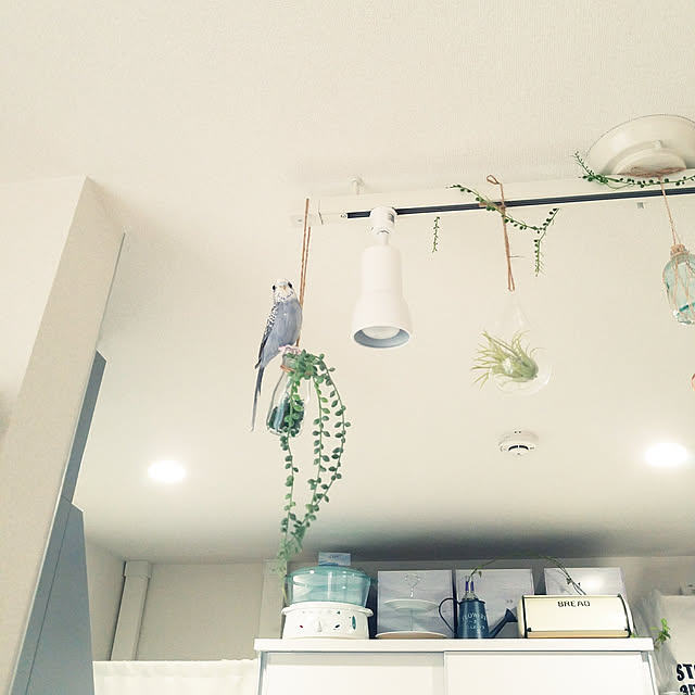 GaudisHouseさんの実例写真
