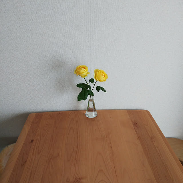 Ayaさんの実例写真