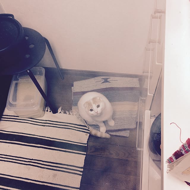 onojiijiさんの実例写真