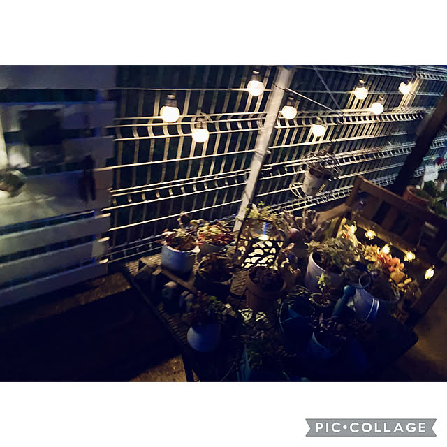 CoCo0617さんの部屋