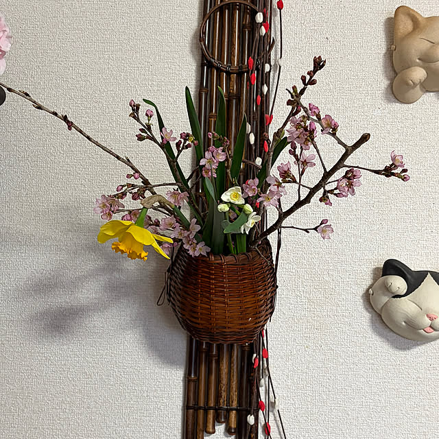 ritsukoさんの部屋