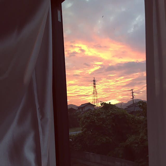 seiさんの実例写真