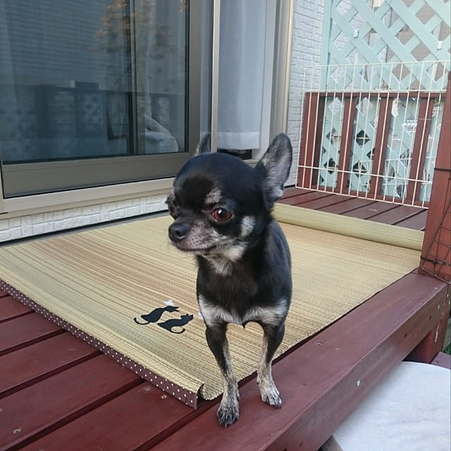 Bienvenueさんの実例写真