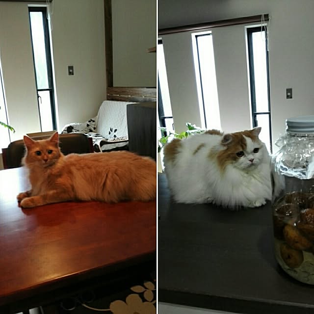 1ldksさんの実例写真