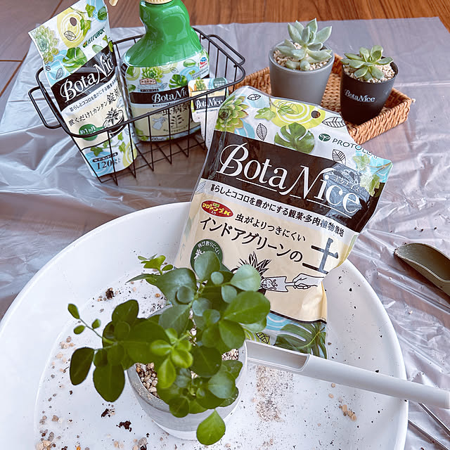 maronさんの部屋