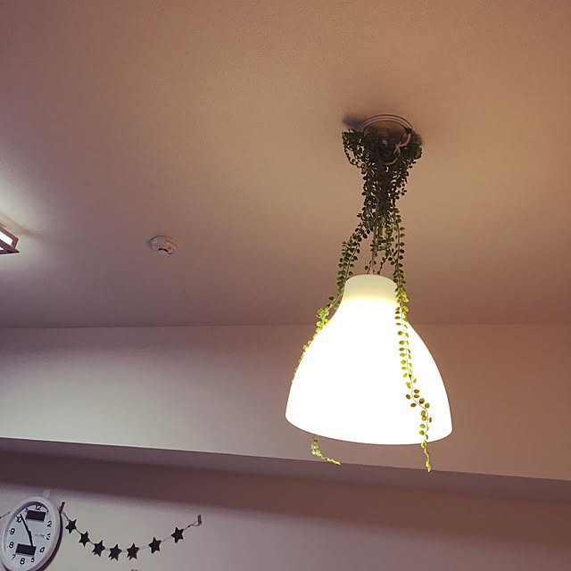 ayakaさんの実例写真