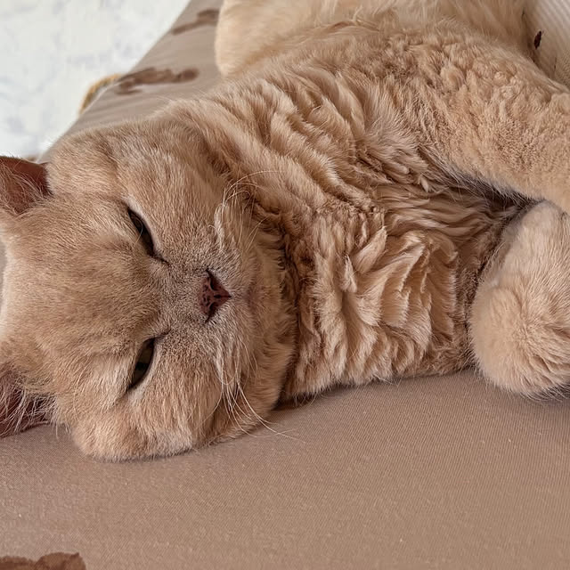 naokoさんの部屋