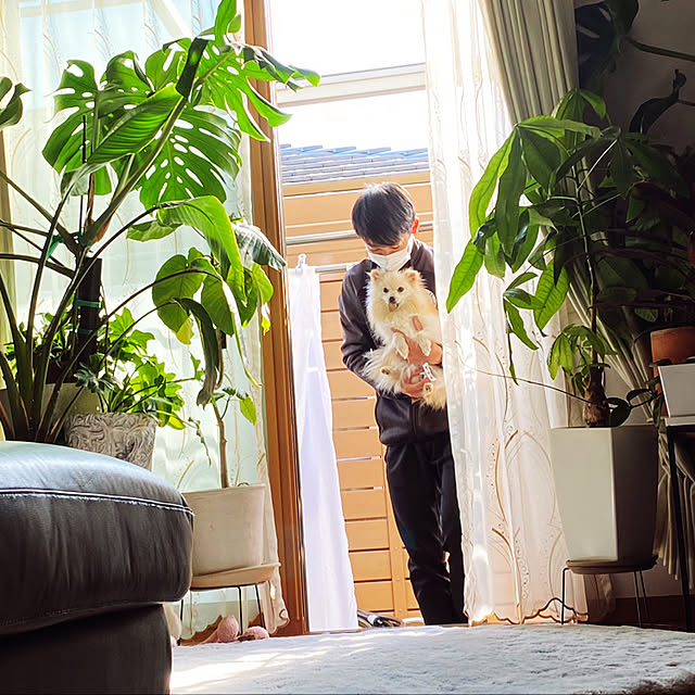 1546さんの実例写真