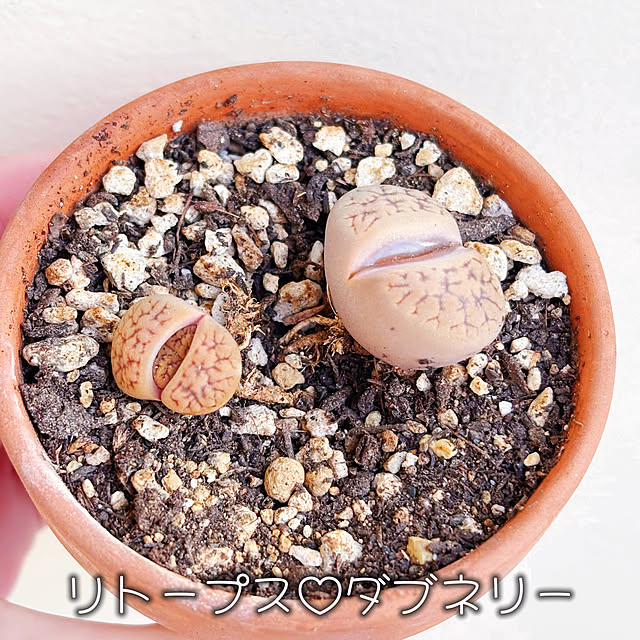 machikoooさんの部屋