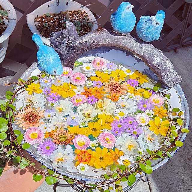 mocomocoさんの部屋