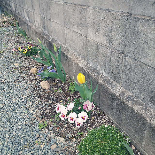 boston5757さんの実例写真