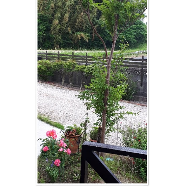 nanaさんの実例写真