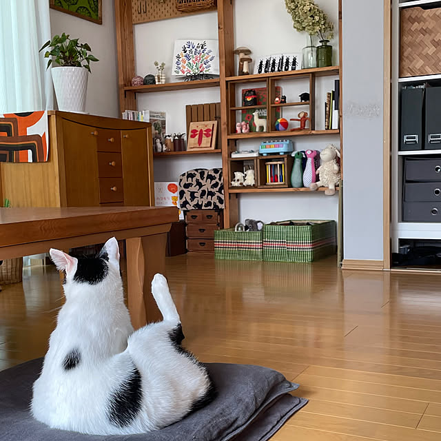 nobikoさんの部屋