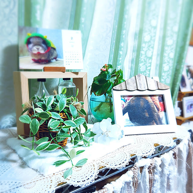 mariaさんの実例写真