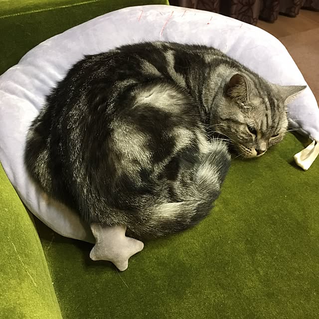 mikomaruさんの実例写真