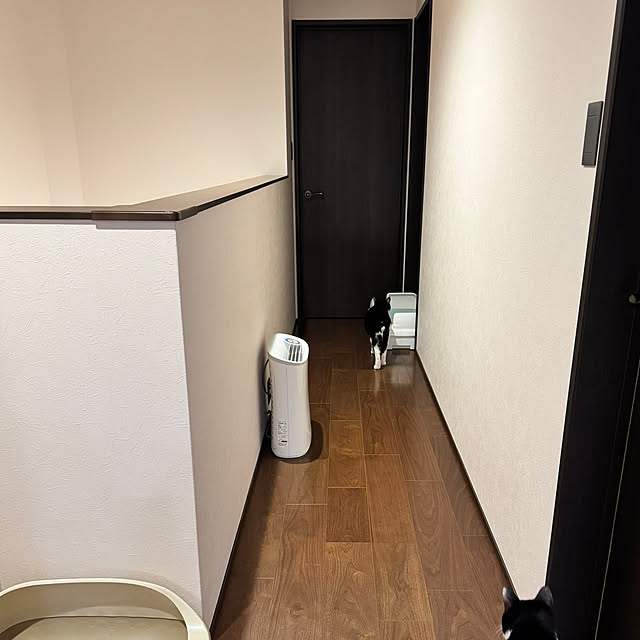 porinさんの実例写真