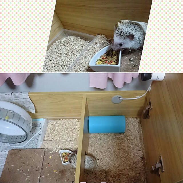 Reikomさんの実例写真
