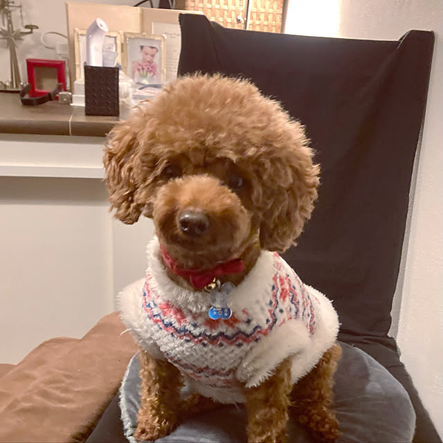MOMOMAMAさんの実例写真